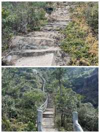 金堡山茶園爬山欣賞自然景觀別有一番情趣