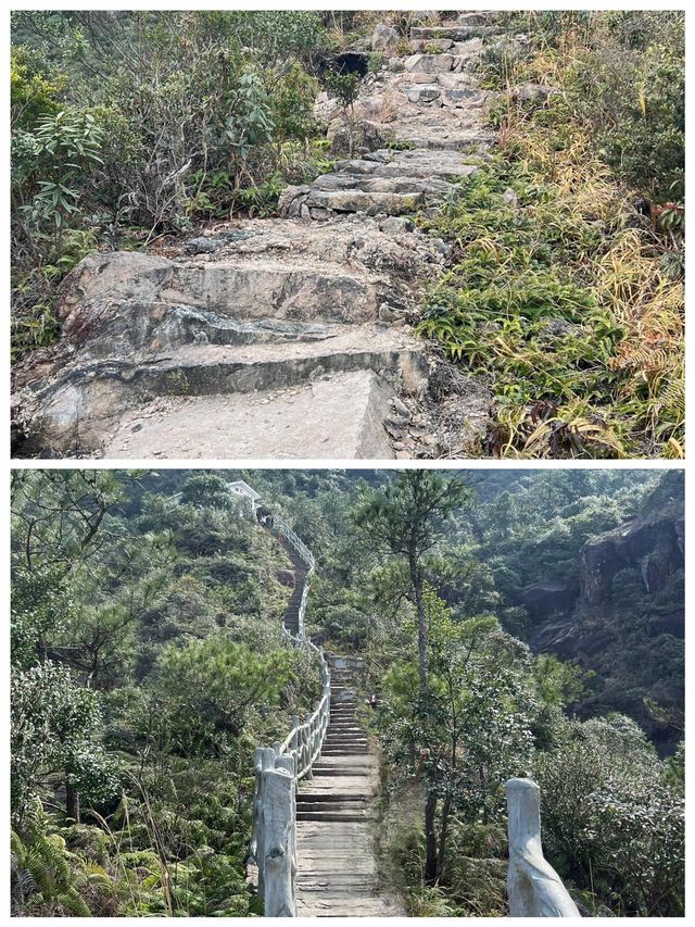 金堡山茶園爬山欣賞自然景觀別有一番情趣
