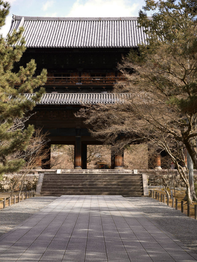 京都｜不敢想像櫻花季時這裡會有多美