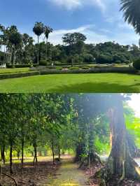 探索印尼茂物市植物園，邂逅綠野仙蹤