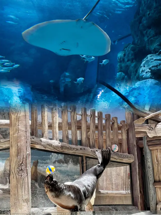 打卡舟山長喬海洋國際旅遊度假區