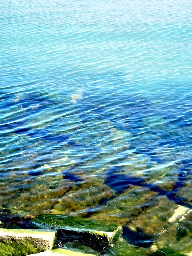 煙台海邊走一走