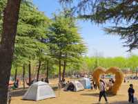鄭州，滎陽有一個免費的適合「撒野」的公園