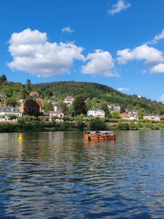 A 12-Day Travel Guide to Germany During the Long Holiday