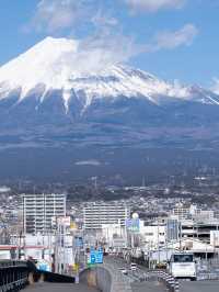 清明節 5日暢遊日本全攻略