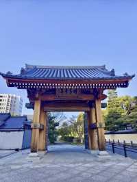 禪意幽深：漫步萬松山承天寺的靜謐時光