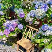 🌼深圳驚喜新店 | 甘坑古鎮的秘密花園🦋