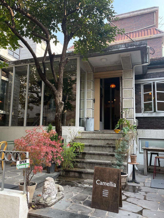 首爾延南洞探店 | Camellia，氛圍感拉滿