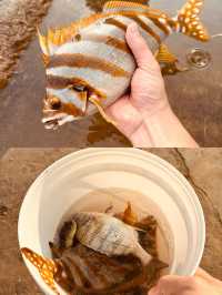 舟山海釣體驗分享，出海釣魚避雷