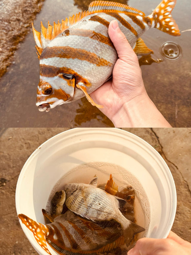 舟山海釣體驗分享，出海釣魚避雷