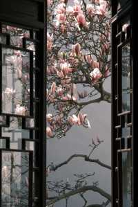 Discover the Beauty of Suzhou Gardens