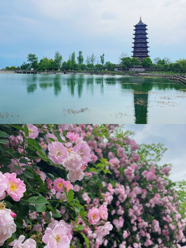 週末人少｜雅安周邊3天2夜咁樣玩
