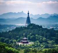承德春日限定旅行 | 闖入北方的花花世界
