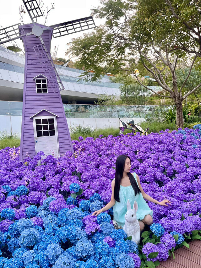 🌊珠海 | 城市客廳，免費美拍聖地必須衝！