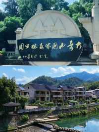 桐廬已回，我的建議是…