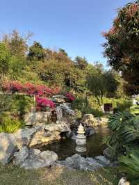 珠海中山公園：鬧市中的靜謐樂土