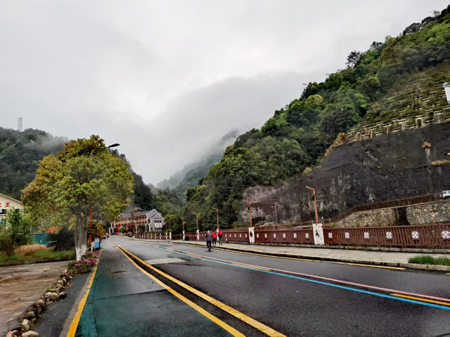 打卡莽山自然博物館