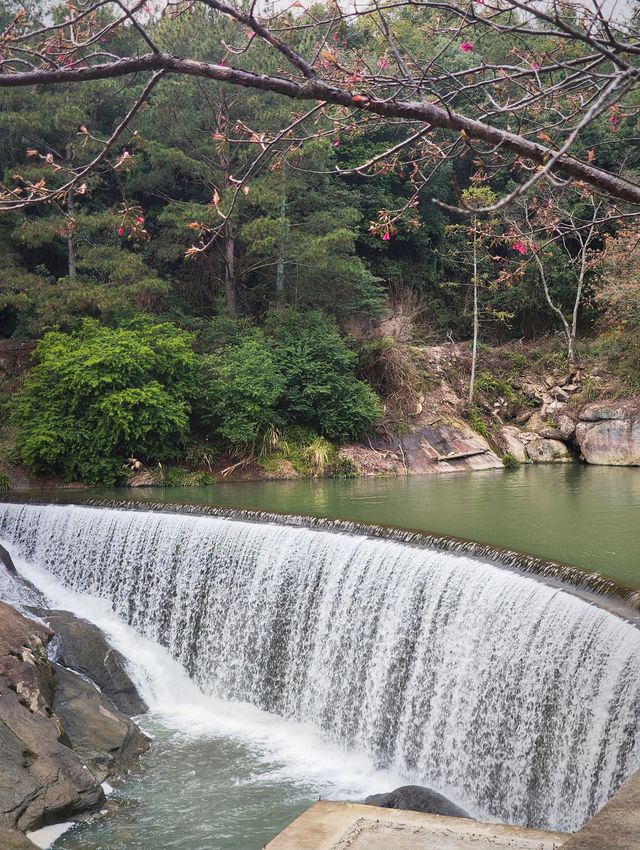 春季的九鯉飛瀑，美得不可方物