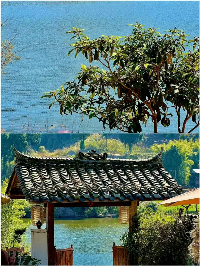 打工仔周末出逃計劃！這4座山必須衝！