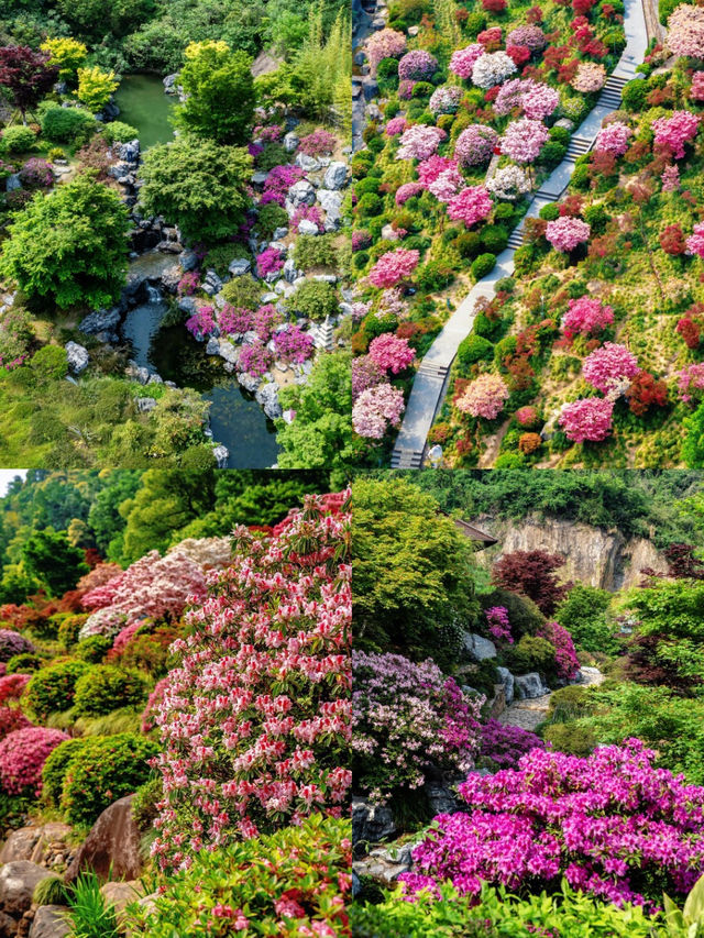超驚艳的五一德清賞花攻略