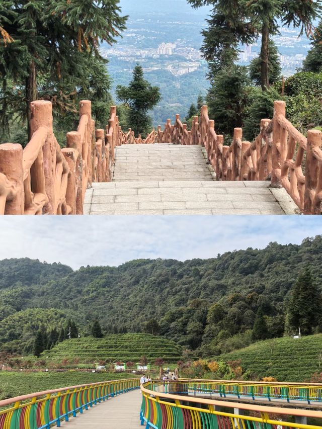 安茗山，打卡超絕氛圍感天梯古道