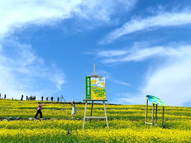 五一節快樂︱芸上梯田，雲下風景