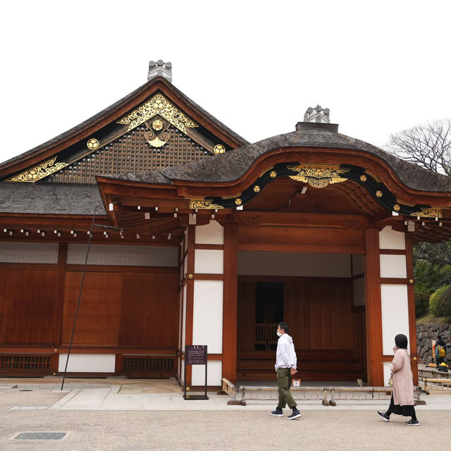 🌸藏在名古屋城邊的春日浪漫！名城公園賞櫻&打卡指南✨