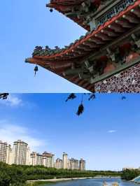 禹州受罪已回，實話拒噴