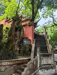 都江堰