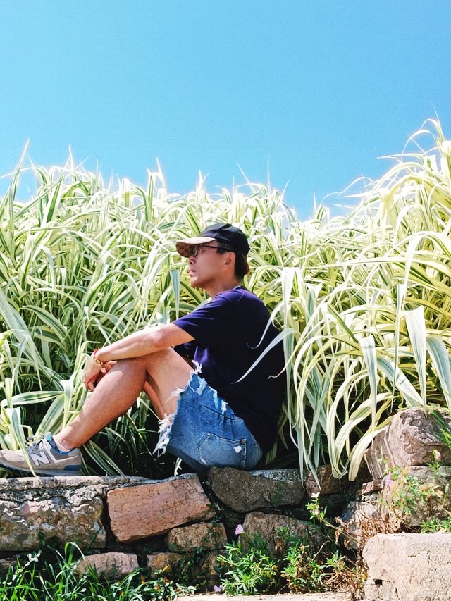 仲喺西湖逼？不如嚟南北湖感受下山水嘅寧靜啦！
