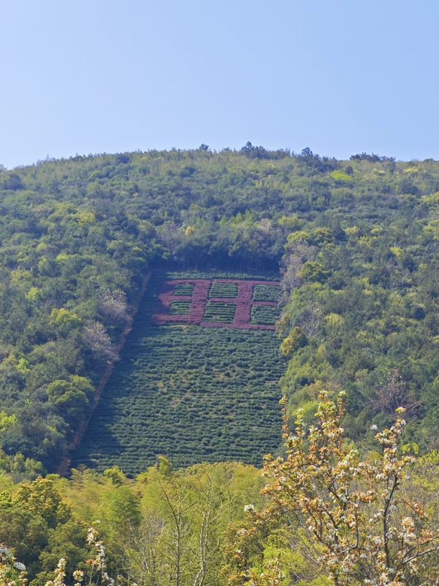 旺山風景區：山林間的悠樂園