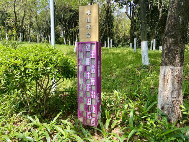 ☀️陽光下的沙井公園🌴✨城市中自然綠洲