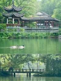 西湖隱秘的浪漫——手划船&搖櫓船