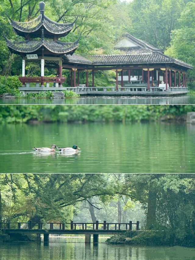 西湖隱秘的浪漫——手划船&搖櫓船