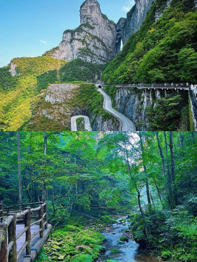張家界——地球億年雕琢嘅魔幻現實主義