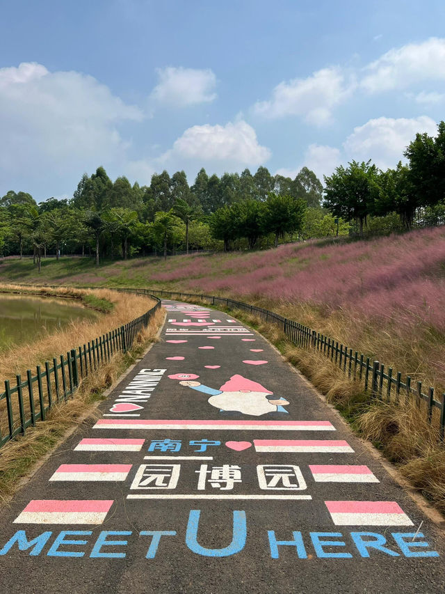 🌼南寧園博園向日葵花海打卡攻略