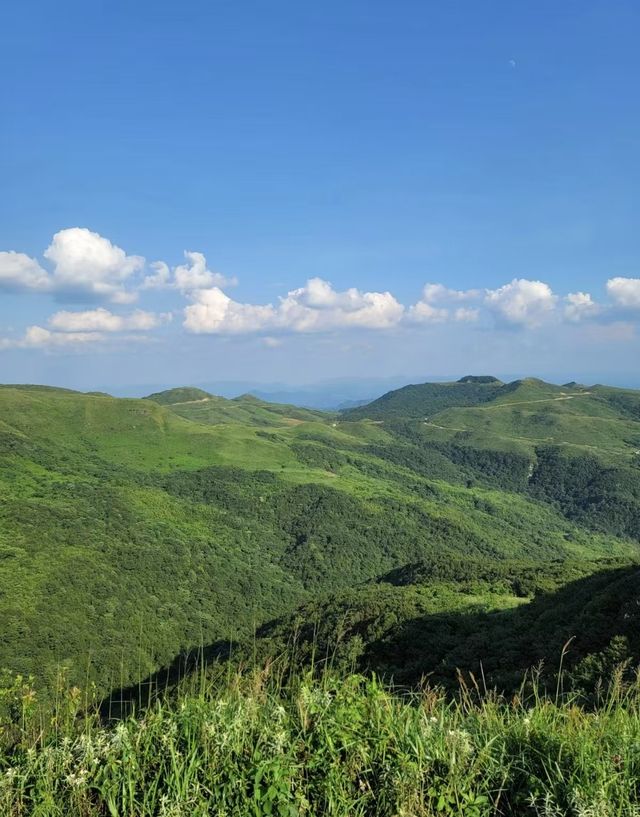 探索山野清新之旅