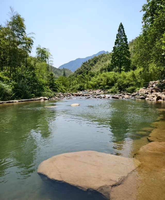 春季來趟心靈治癒之旅吧