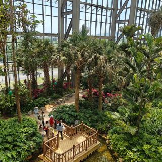 Nanchang Botanical Garden: A Hidden Gem Worth Visiting