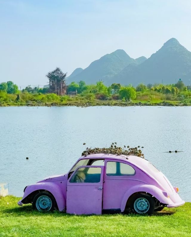 漫步花海，相伴花海