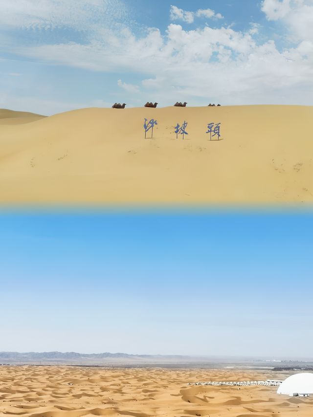 沙坡頭旅遊攻略 左手黃河 右手沙漠嘅奇幻世界