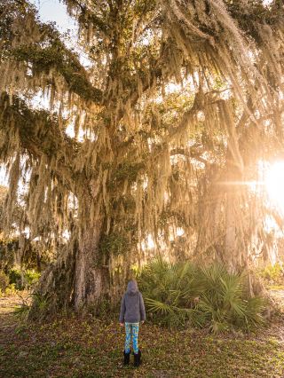 Orlando Outdoor Guide: Unlock Nature's Treasures!