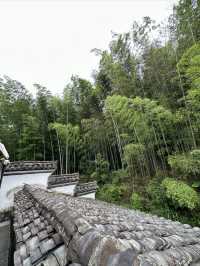 花築奢·海鳥天地民宿