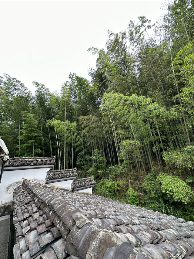 花築奢·海鳥天地民宿