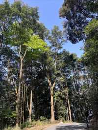 漳州靈通岩|藏於深山峭壁上嘅「懸空寺」