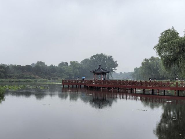 煙雨圓明園：江南韻與歷史愁