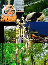 【暑假湊仔指南】6大熱門城市深度遊攻略：帶細路玩轉歷史與童趣