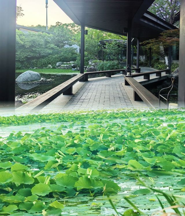 蘇州太湖度假村心動指南！太美了