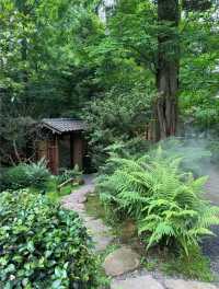 週末唔知去邊度好？不如入山呼吸新鮮空氣啦！