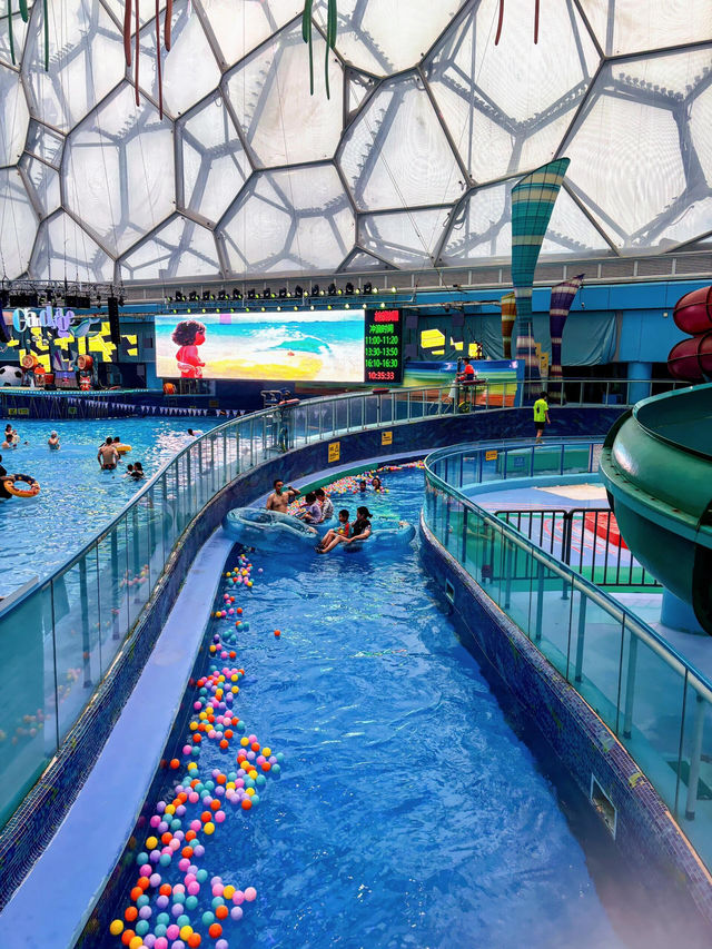 🌊北京水立方嬉水樂園｜夏日玩水天堂